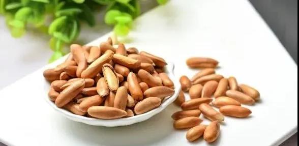 食堂托管公司提醒，小小的“長(zhǎng)壽果”，幫你改善肝血不足，腰痛頭暈